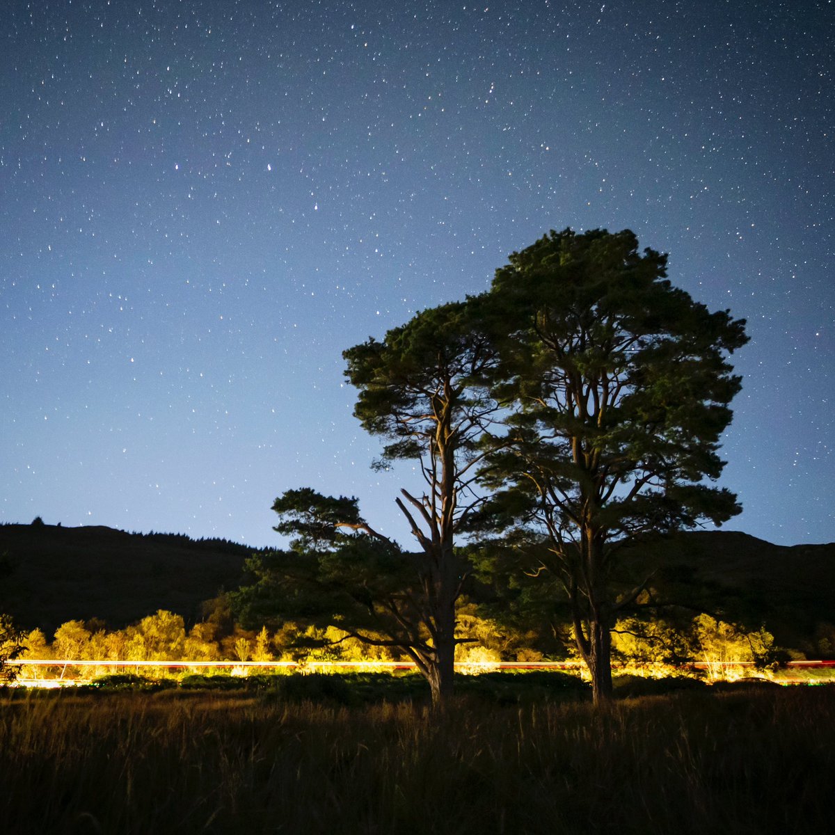 JohnThrelfall_'s tweet image. Car trails under the stars at Tighnabruaich, Scotland.

#cartrails #astrophotography #scotland