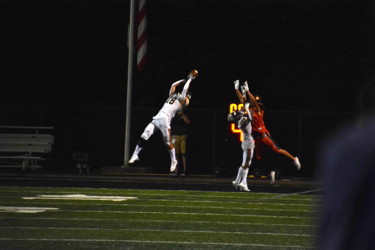 Christopher Macrides tweet media