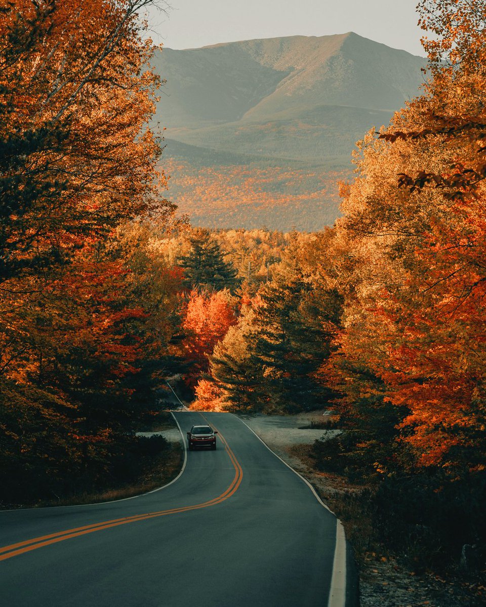 WheelWorks's tweet image. See the colors change this season, not your brakes' performance. Stop by your local Wheel Works for routine brake maintenance before your fall road trip. #RoadTripConfidence #WheelWorks #BrakePads #BrakeCheck #BrakeSystem #Brakes