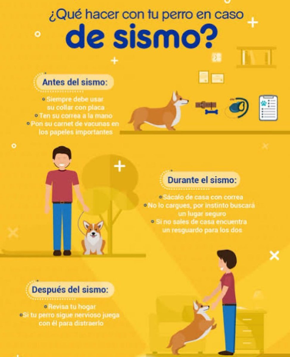 FundacionToby's tweet photo. Qué hacer en caso de sismo? https://t.co/Hb9f0KAaiT