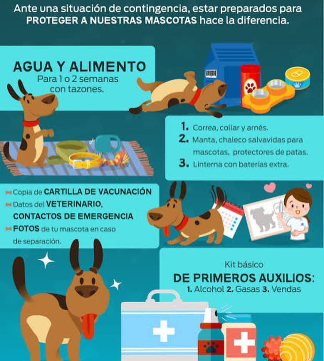 FundacionToby's tweet photo. Qué hacer en caso de sismo? https://t.co/Hb9f0KAaiT