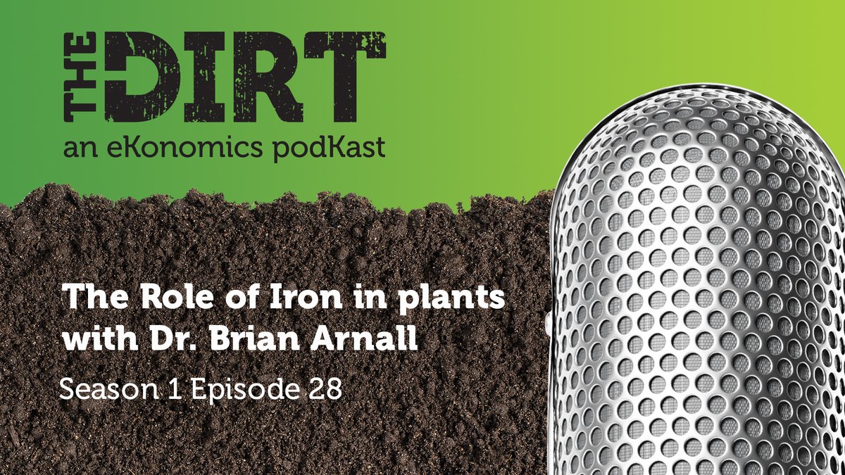 Smart Nutrition™ MST® (@smart_mst) on Twitter photo Dr. Brian Arnall from Oklahoma State University joins Mike Howell to dig into the role of #iron in plants. Listen now: bit.ly/3LunvxJ #TheDirtPodKast Dr. Brian Arnall from Oklahoma State University joins Mike Howell to dig into the role of #iron in plants. Listen now: bit.ly/3LunvxJ #TheDirtPodKast