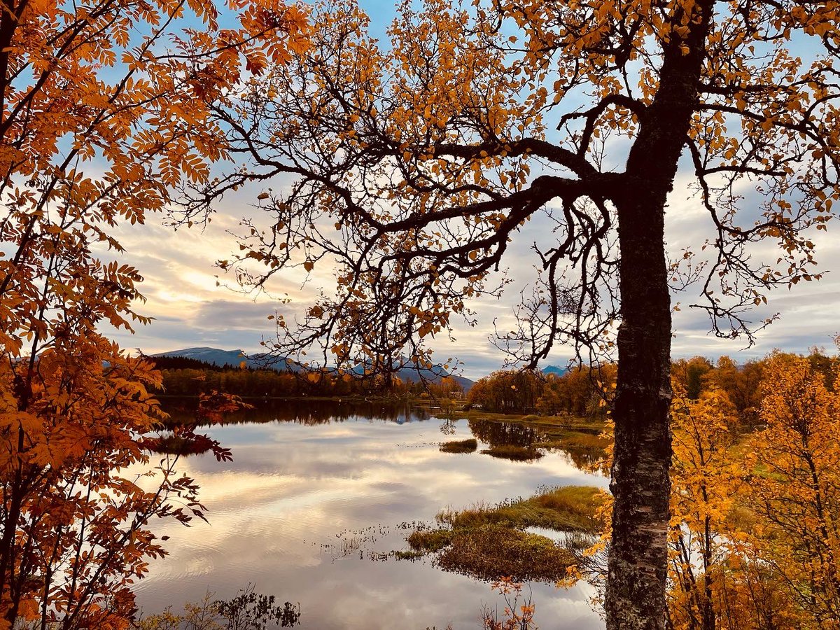 joelplouffe's tweet photo. #Tromsø #Fall #Arctic #Norway 👌 https://t.co/OOAteGAlnl