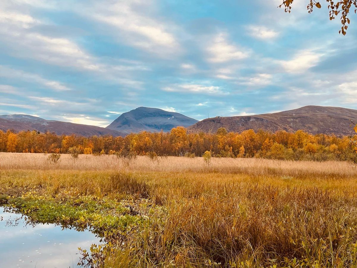 joelplouffe's tweet photo. #Tromsø #Fall #Arctic #Norway 👌 https://t.co/OOAteGAlnl