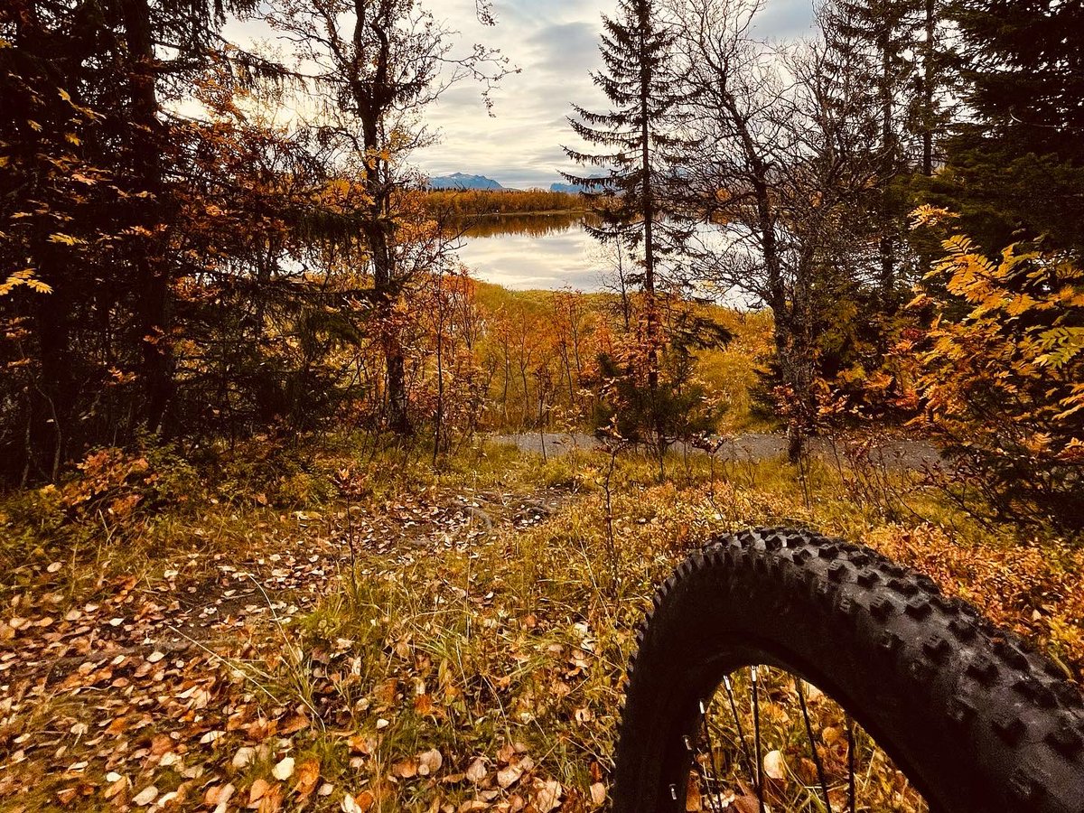 joelplouffe's tweet photo. #Tromsø #Fall #Arctic #Norway 👌 https://t.co/OOAteGAlnl