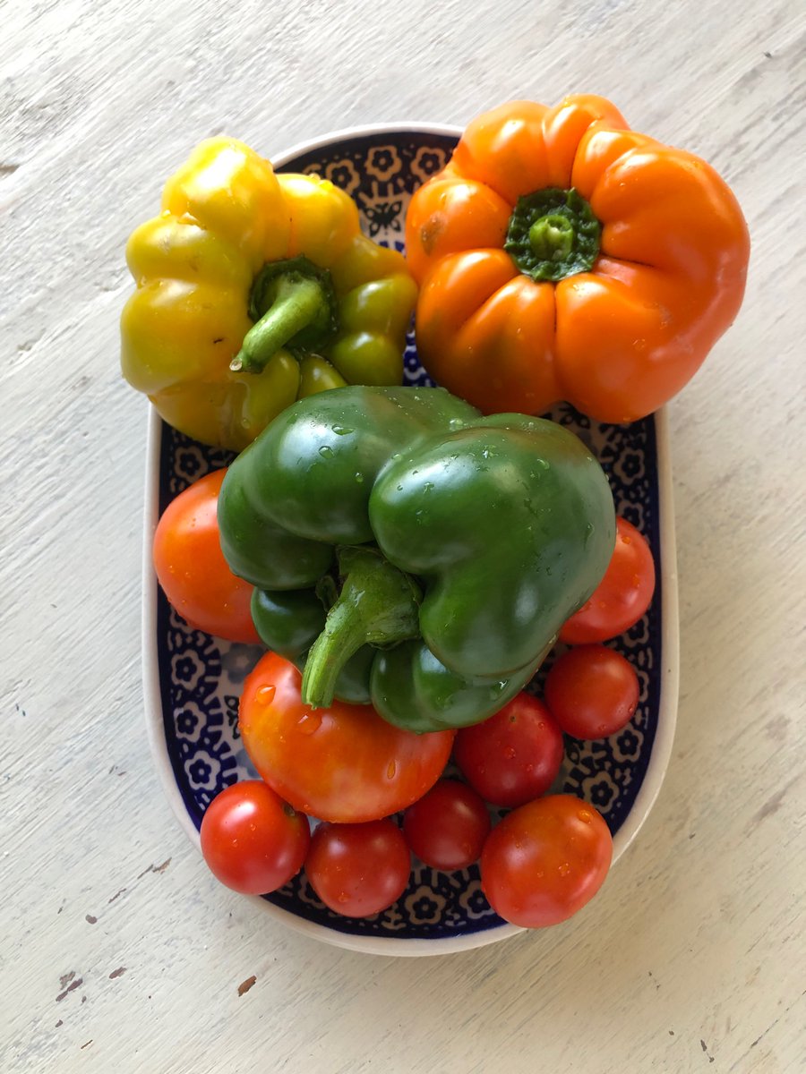 AmericanPlenty's tweet photo. Fresh from the garden 🧡 https://t.co/x18NiulGhU