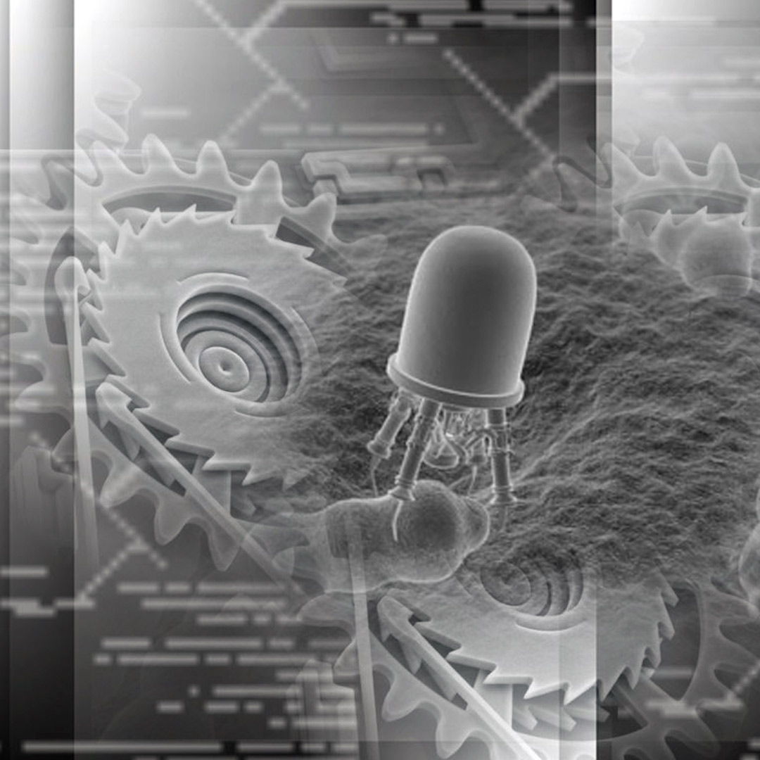 AMDesignWorks's tweet photo. "NANOTECHNOLOGY"
Poster
Release Year: 2010
Software: Corel Photopaint
#digital #digitalart #artist #photo #photomanipulation #nanotechnology #nanotech #corel #corelphotopaint @CorelDRAW https://t.co/tmF4krHEND