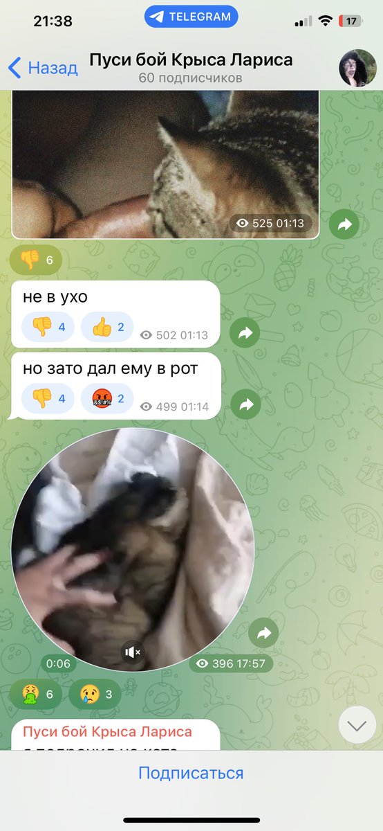 ПОЖАЛУЙСТА РАСПРОСТРАНИТЕ
‼️‼️‼️‼️‼️‼️‼️‼️‼️‼️‼️
Эта конченная мразь жестоко издевается над котами - душит, насилует, плюет им в лицо и проводит всякие пытки😭😩
Было задержание, но мать его отмазала. Этого конченного урода нужно наказать
