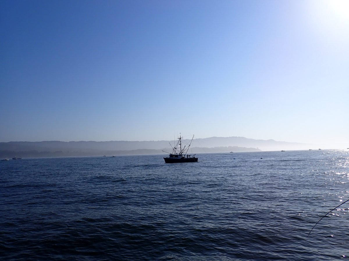 UCSC_Fisheries's tweet photo. Our salmon team completed the last round of catch & release sampling efforts for adult fall-run Chinook salmon off the coast of SF, CA in early September. A total of 110 salmon were successfully captured, acoustically tagged, & released. Thanks to our supporters!! #UCSCScience https://t.co/cCSAnlYJjX