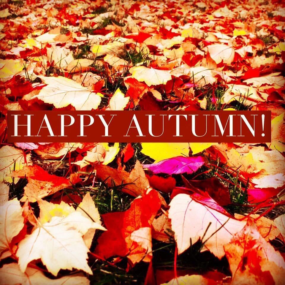 TheMusicMedium's tweet photo. Happy Autumn!
Much Love and Blessings!

#fall #fallishere #happyautumn #coolerweather #fallfun #autumnishere #autumnishere🍁 #autumn #autumn🍁 #🍂 #🍁 https://t.co/5a1vzSPfwM