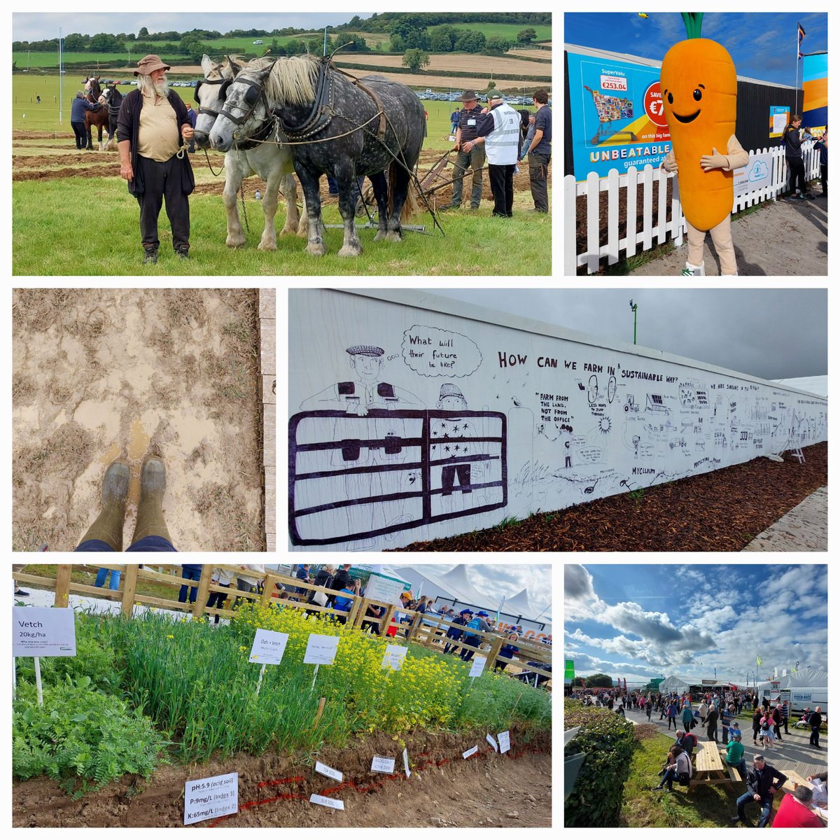 PollinatorPlan's tweet photo. A great few days at #ploughing22 with @Bordbia and @OriginGreen
Positive chats to many #farmers about #nativehedges, #fieldmargins, #nativewildflowers and our #pollinators π
#farmlandbiodiversity https://t.co/iPJmTQt5ZH