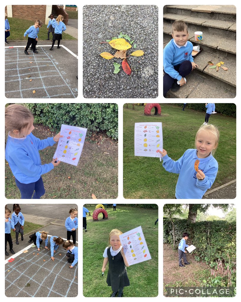 StJoseRC1's tweet photo. Outdoor learning with leaves in Year 1 and 2. They sorted leaves and created a pictogram based on colour. Also, hunted for autumn leaves and created leaf art. @EAS_EarlyYears @TredegarCouncil @BlaenauGwentCBC @BishopHedleyRC #creativeenterprising https://t.co/7qkxuAV4sh