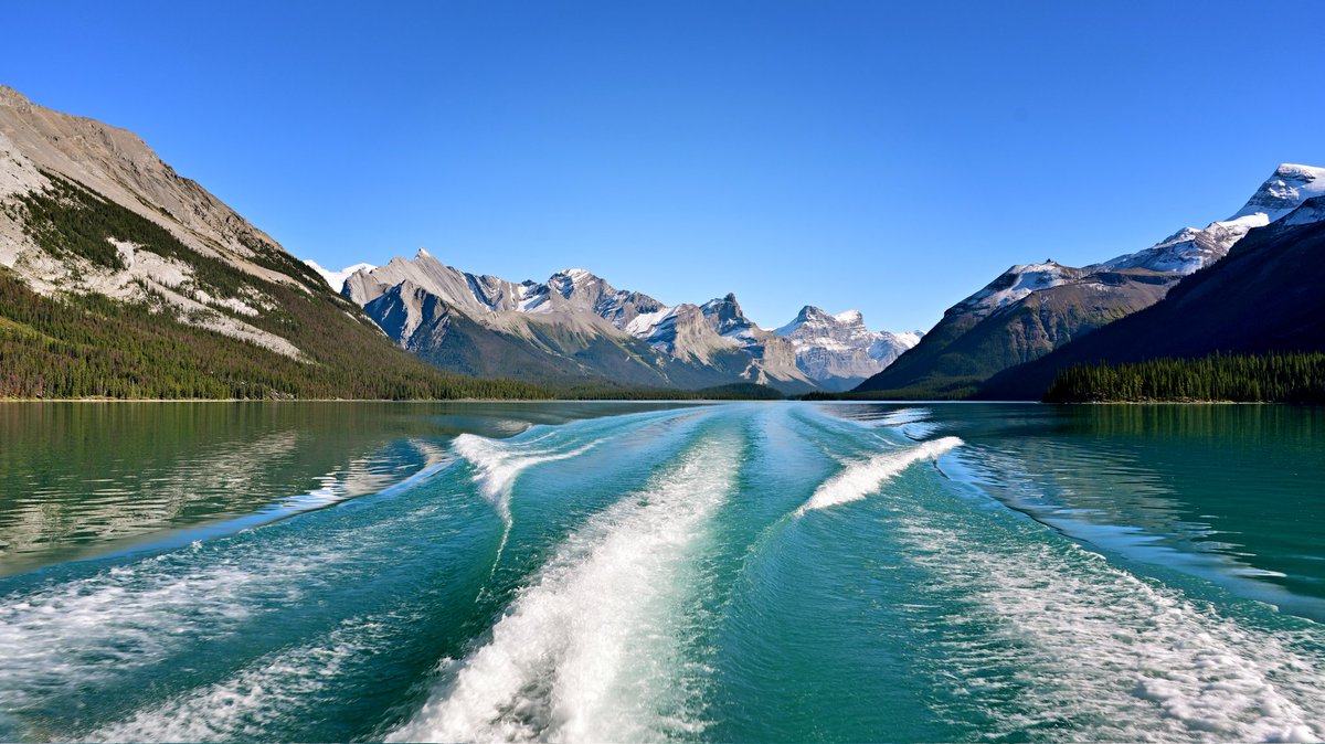 Dave Tonge tweet media