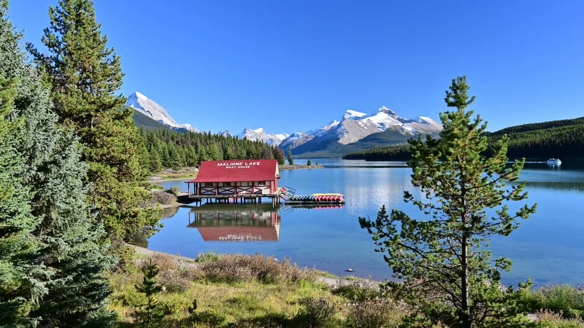 Dave Tonge tweet media