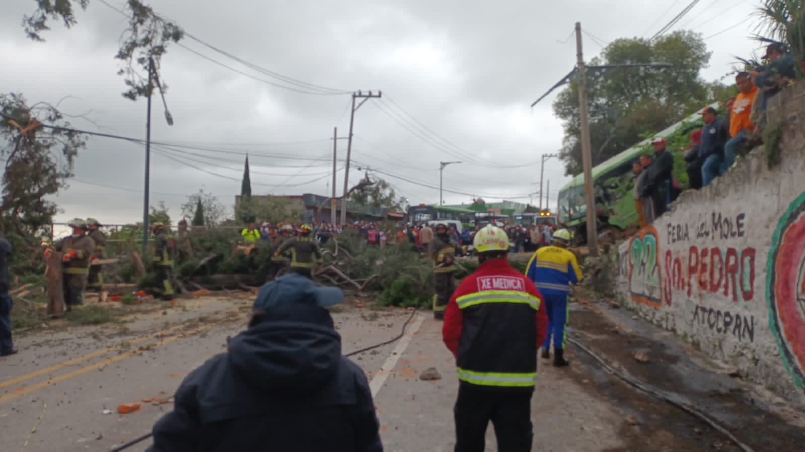 Camión de pasajeros se estrella