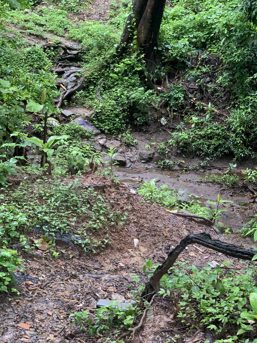 I went jogging in spite of the rain.