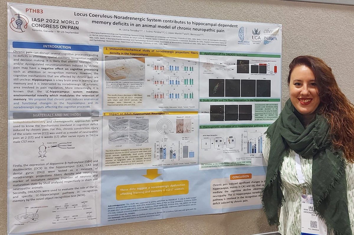 Second poster session at #IASP2022 @ISuaPer is presenting our results about the role of the #locuscoeruleus 🔵 in memory impairments associated with chronic neuropathic #pain. Check out our poster PTH83!