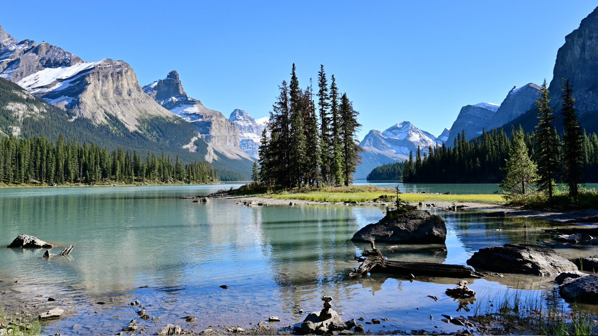 Dave Tonge tweet media