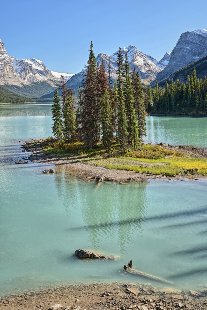 Dave Tonge tweet media