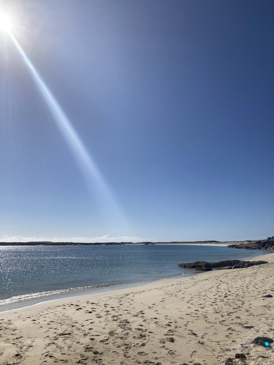 rosie mcgurran tweet media