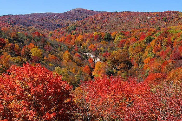 NCmuseumhistory's tweet photo. Happy #FirstDayofFall, yβall π #FallinNC https://t.co/MdaFLvVCR4