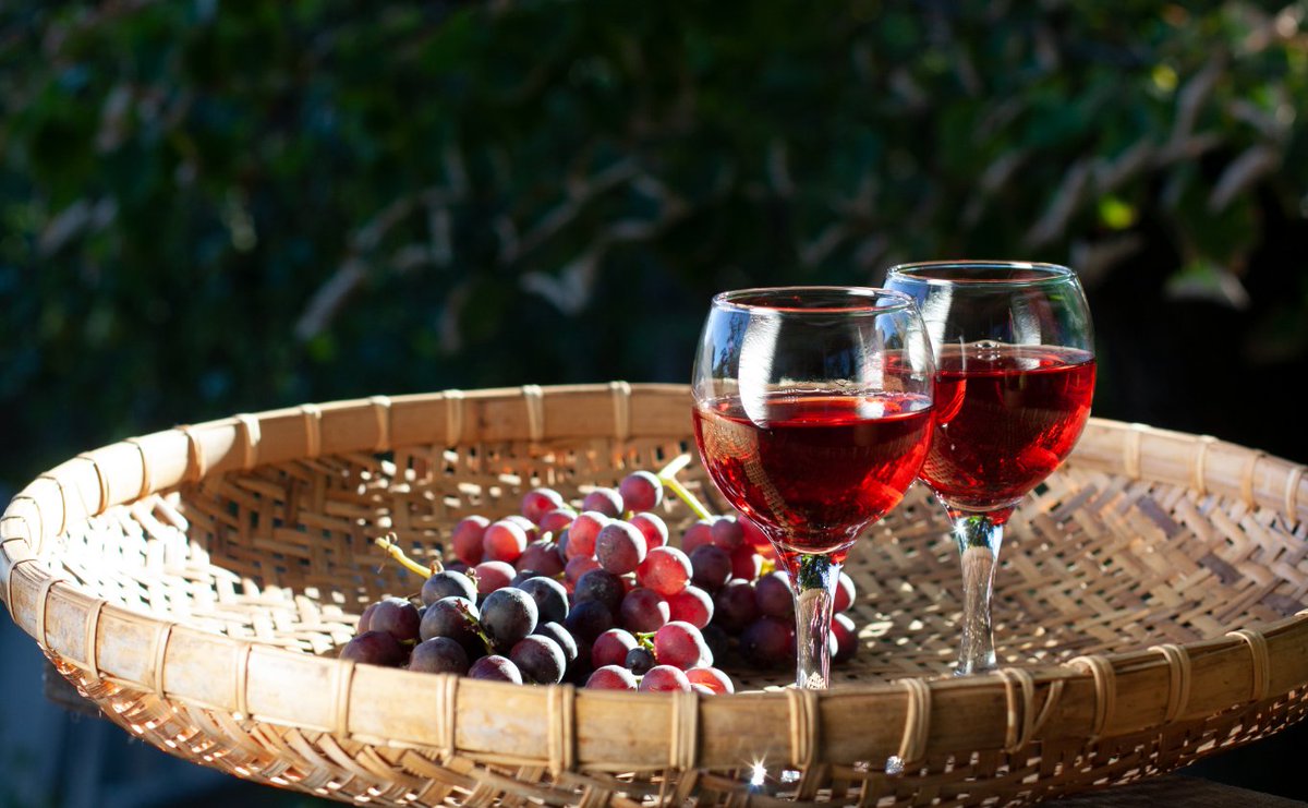 INEFOPoficial's tweet photo. 🍷 Curso Conocimientos básicos sobre vinos
Si vivís en Montevideo y sos trabajador del sector gastronómico, postulate para esta capacitación.
Inicio: 26 de setiembre
🗓️ Duración: 2 meses 👇 https://t.co/7nl3FU4p02