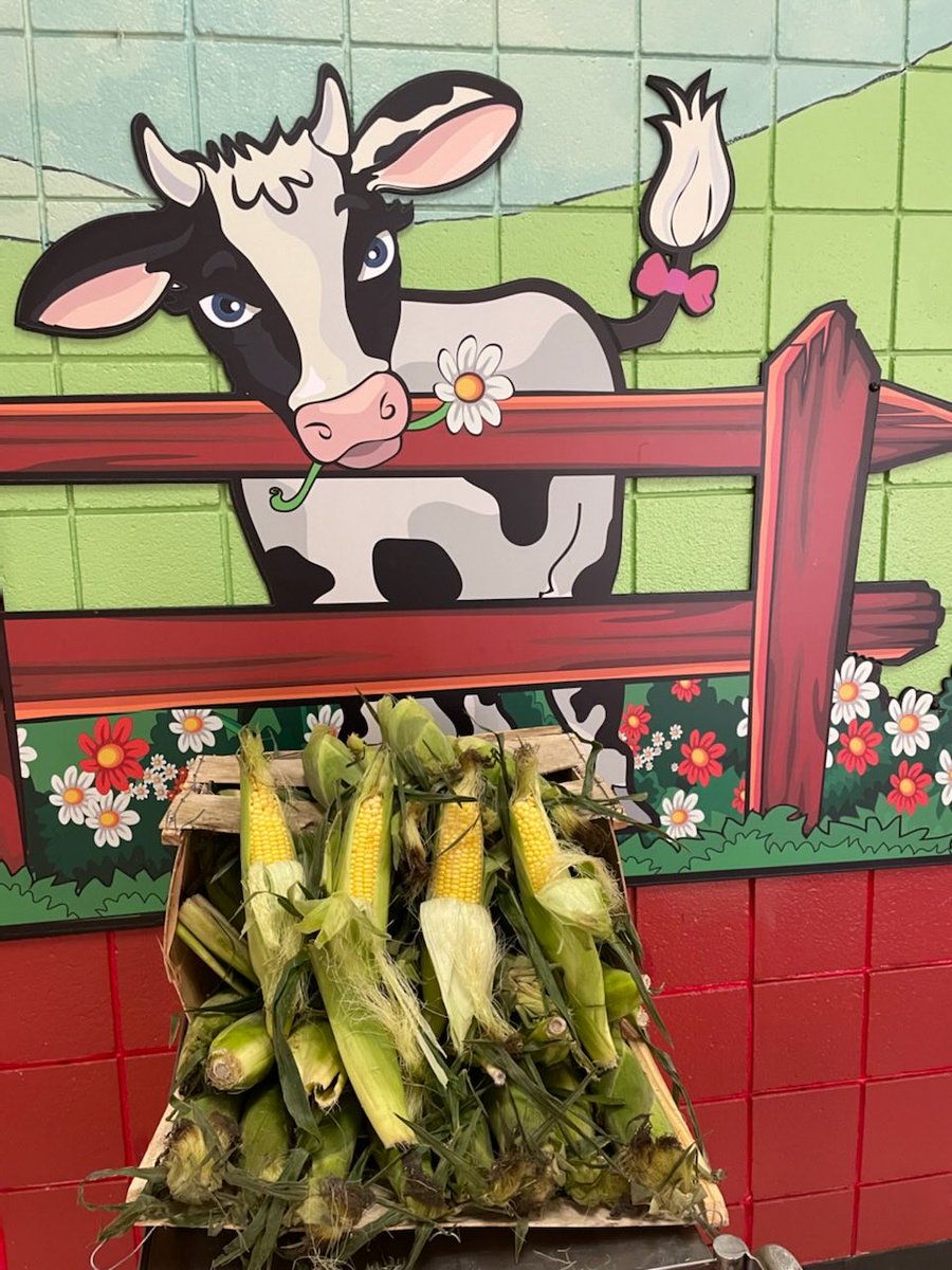 NMPSFoodService's tweet photo. Nessie says are your ears ringing? Because they are on the menu today!  ⁦@nmps_supt⁩ ⁦@NES_CT⁩ ⁦@HPS_CT⁩ ⁦@SNIS_CT⁩ ⁦@SchoolLunch⁩ https://t.co/2va3B93HgD