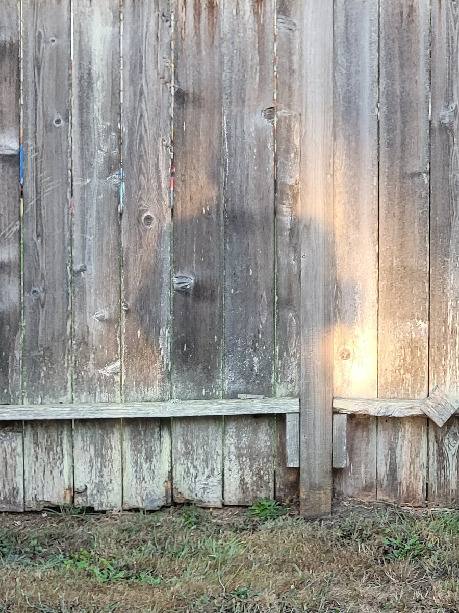 lone_wolf__1's tweet photo. shadow selfie
#ShadowSelfies #photography #photographylovers https://t.co/qvJWPp5F8j