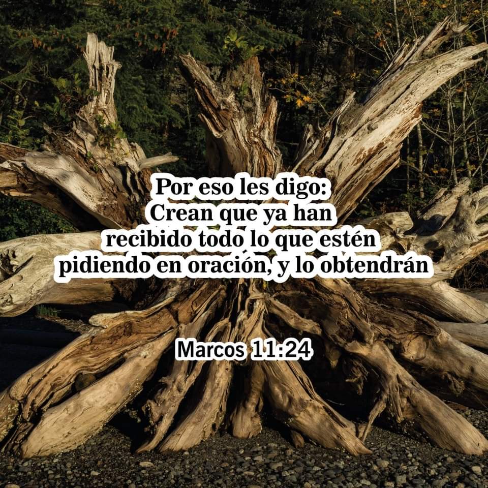 RadioVidaHN's tweet photo. Por eso les digo: Crean que ya han recibido todo lo que estén pidiendo en oración, y lo obtendrán.

Marcos 11:24📖 

#versiculodevida 
#vidafm #conactitudpositiva 

106.5///94.7 📻 https://t.co/6x1BLXXTYD