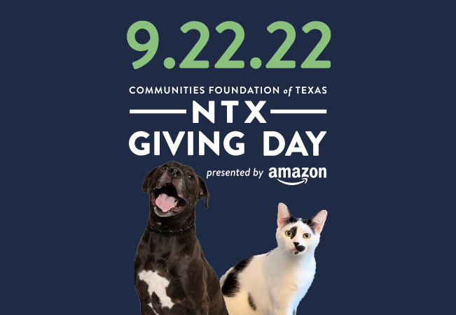 DFW Humane Society tweet media