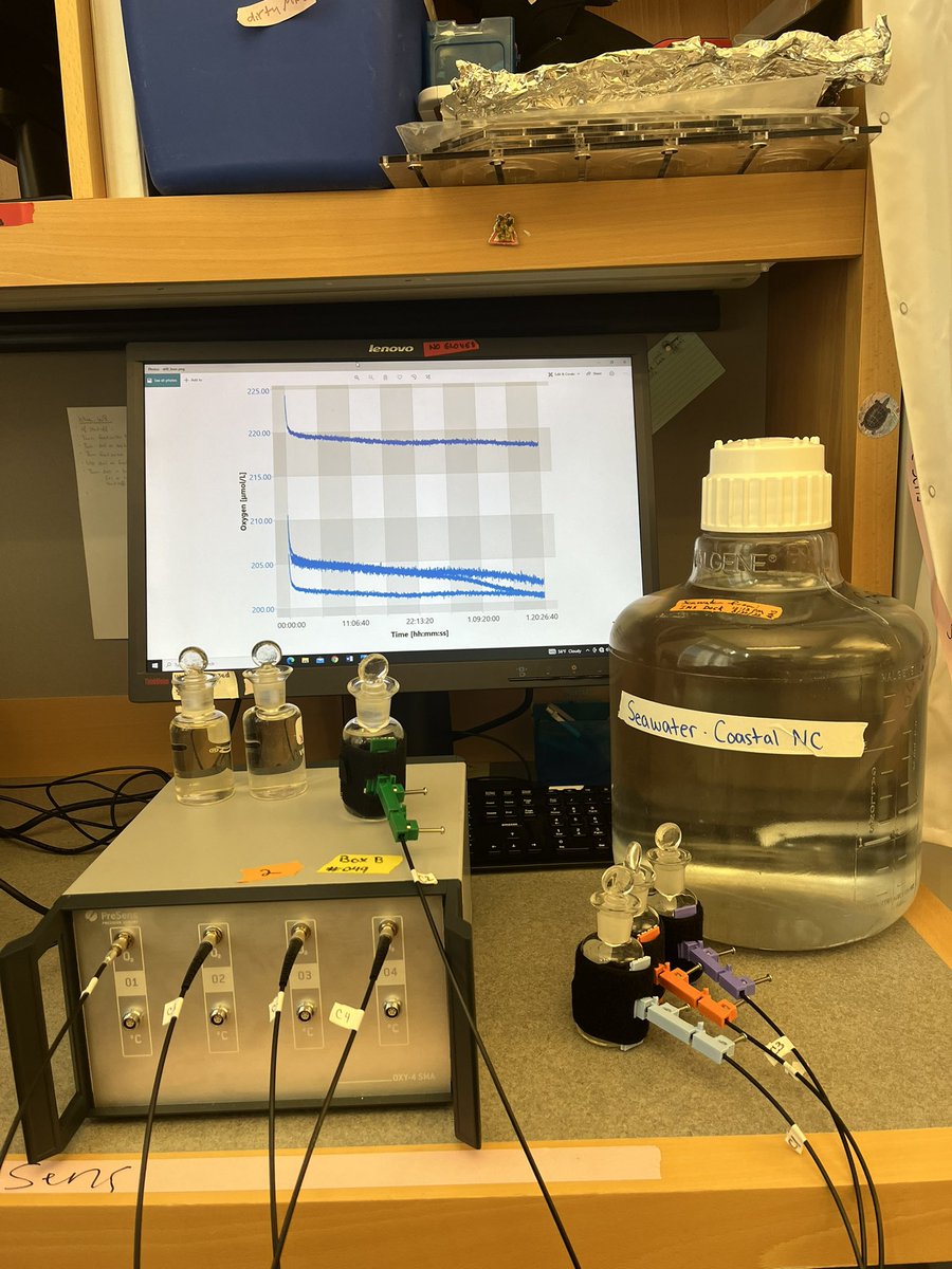 🚨TODAY!! 
Check out allllll these lessons written by NC Researchers for YOUR classrooms!

Interested in Cellular Respiration? Class visits? Hands-on labs with <a href="/giffsm/">Scott Gifford</a> Lab’s oxygen sensors? 

Check out our lesson here: drive.google.com/drive/folders/…