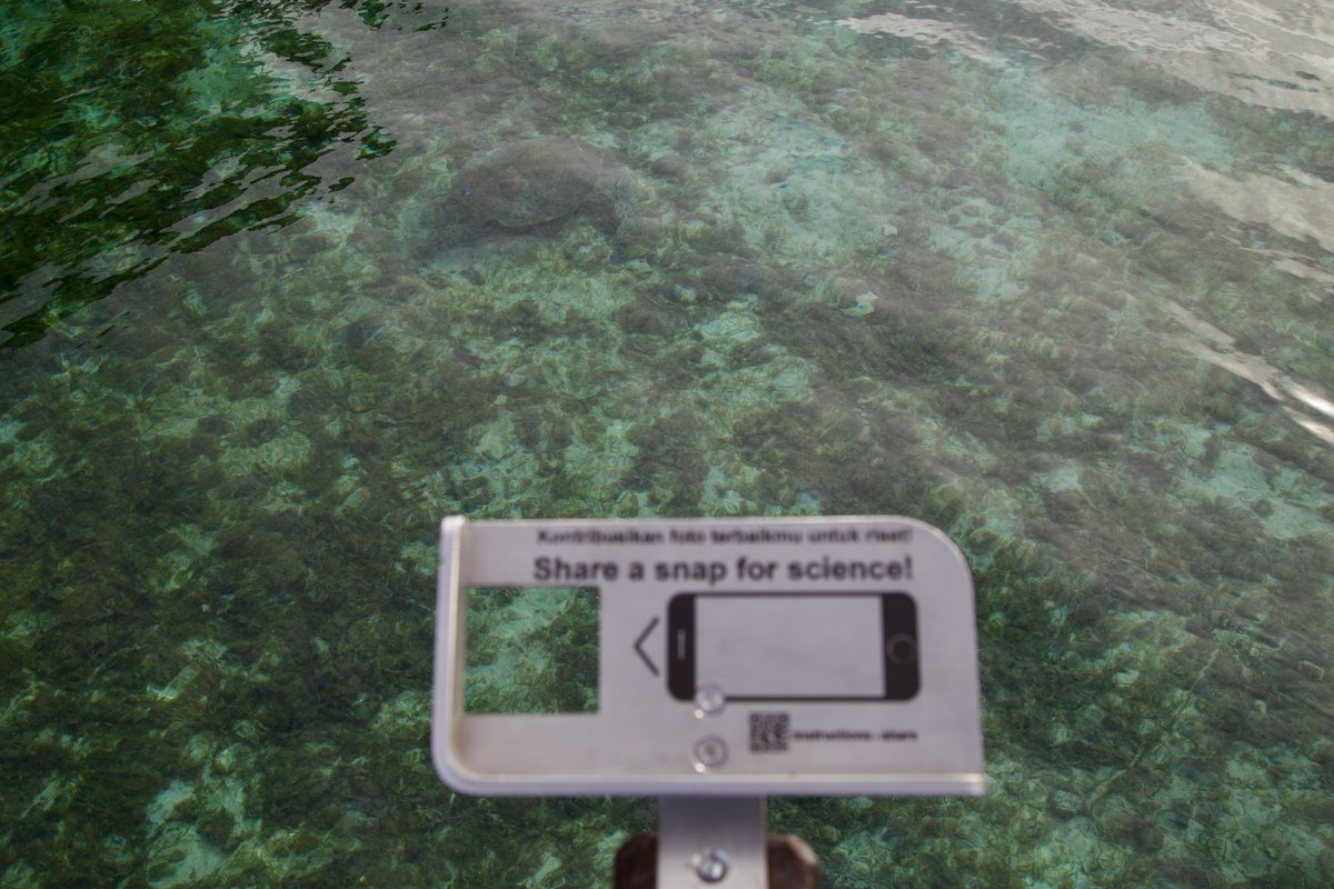 Penyuku's tweet photo. Our first #SEASNAP frames are installed on the islands of #Derawan and Maratua in Indonesia. From these frames citizen scientists can make photos that help capture the change in #seagrass (&amp; the occasional passing #turtle -> photo) with Prama &amp; Hafizt Info https://t.co/rzWNn9Wd2K https://t.co/RDCW3xQFNO