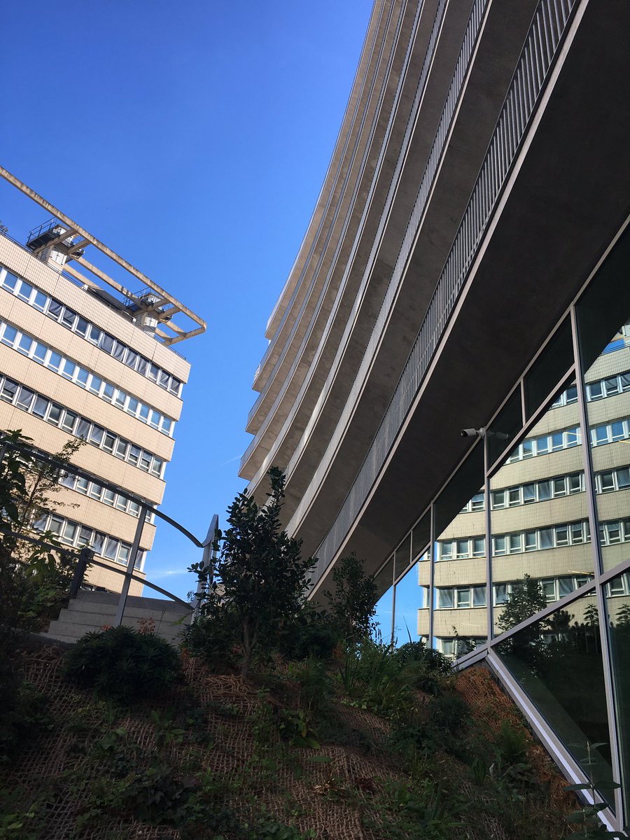 FHFiledefrance's tweet photo. Rencontre ce matin avec les DrH et Dam du siège de @APHP dans leurs tout nouveaux locaux @HopSaintAntoine : qvt, décrets, ressources médicales…au boulot 😉! @laFHF @APHP @ADRHESSlive @MatthieuGirier @Nicolas_Delmas_ https://t.co/7d5IZCnDAH