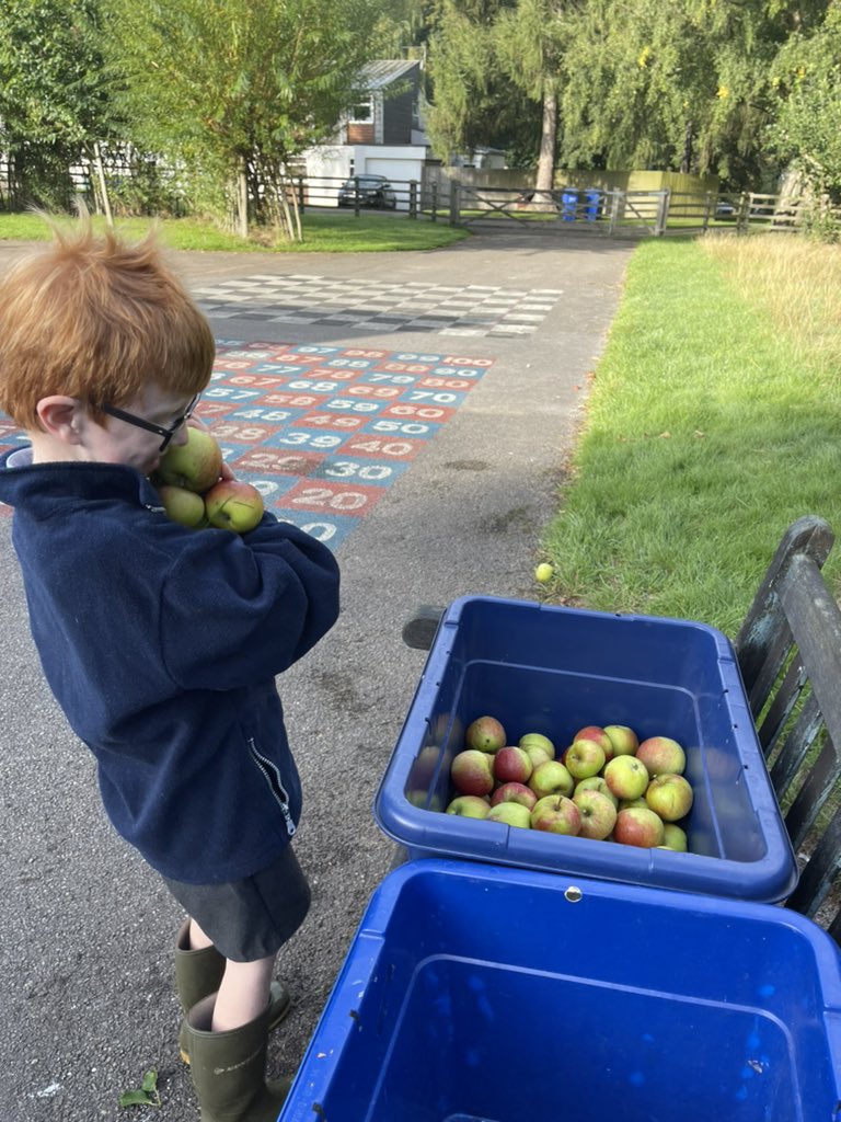 SibfordJS's tweet photo. #SibfordJSEcoCouncil busy #harvesting #apples for #SibfordAppleDay at the end of the week! Wonder what theyโll be used forโฆ @SibfordOxon #quakervalues #getoutside #outdoorclassroom #BeYouBeSibford #liveadventurously https://t.co/BbOnaNqJ4e