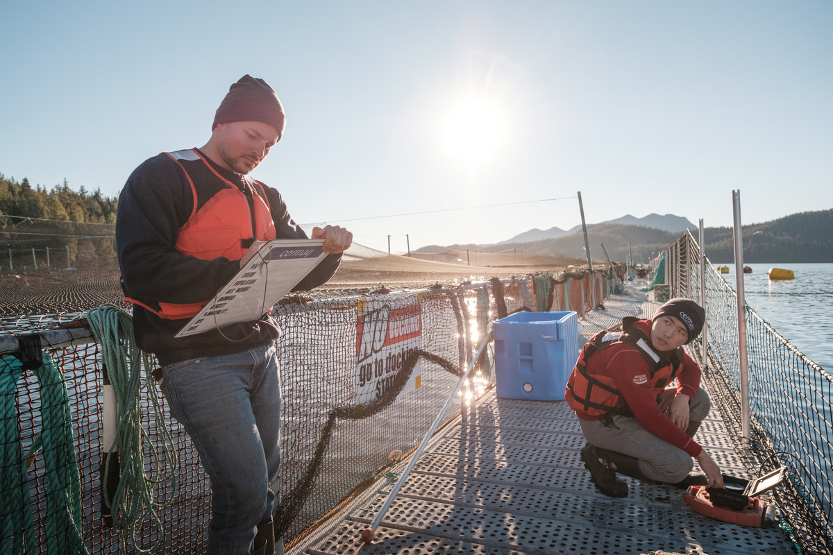 Desde nuestra fundación, elegimos <a href="/ASC_aqua/">ASC</a> para medir y monitorear el progreso porque es el estándar más riguroso disponible. Desde la calidad del agua hasta la salud de los peces, ASC nos desafía a ser mejores continuamente. globalsalmoninitiative.org/es/blog/como-u…