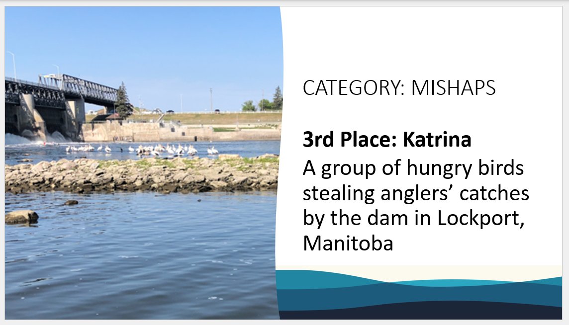 FishCAST (@fishcastcanada) on Twitter photo The fourth and final <a href="/FishCASTCanada/">FishCAST</a> Photo Contest category: Mishaps winners were <a href="/AudetKatrina/">Katrina Eason</a> <a href="/chrisatherrien/">Christian Therrien</a> and Dominique! Congratulations! 👏👏👏#FishCASTPhotoContest The fourth and final <a href="/FishCASTCanada/">FishCAST</a> Photo Contest category: Mishaps winners were <a href="/AudetKatrina/">Katrina Eason</a> <a href="/chrisatherrien/">Christian Therrien</a> and Dominique! Congratulations! 👏👏👏#FishCASTPhotoContest