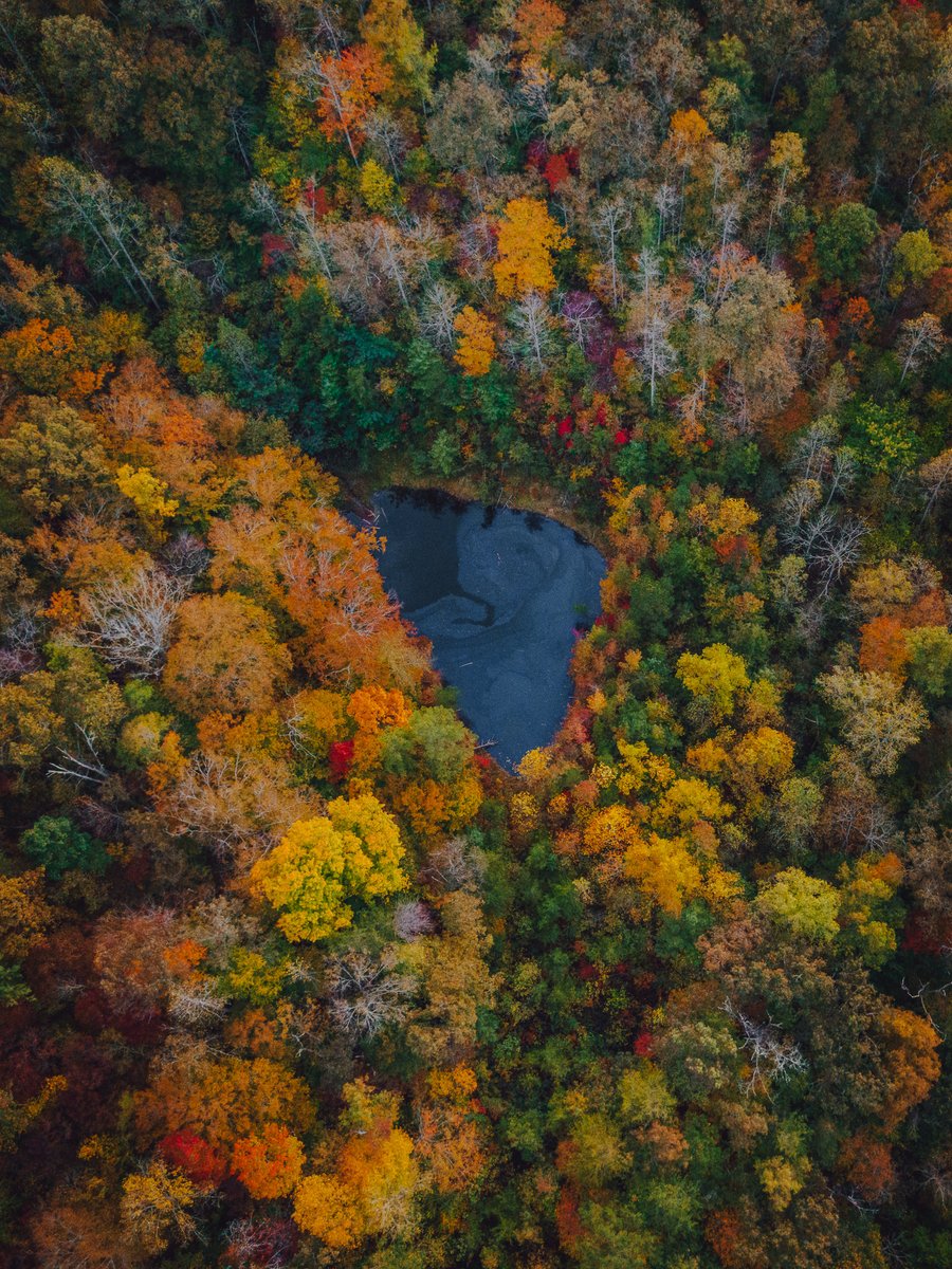 Happy first day of fall! 🍂

The anticipation of refreshing crisp breezes, cooling temperatures, and vibrant displays of sun-burnished leaves is high. Have you ever imagined working and living in an area where you get to experience this? Learn more: bit.ly/3AHWbXw.
