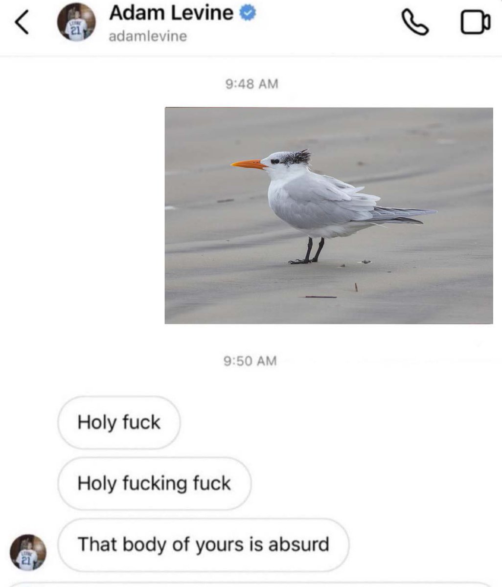 birdie_mob's tweet photo. i get it adam i really do https://t.co/IQkwIUdDk8