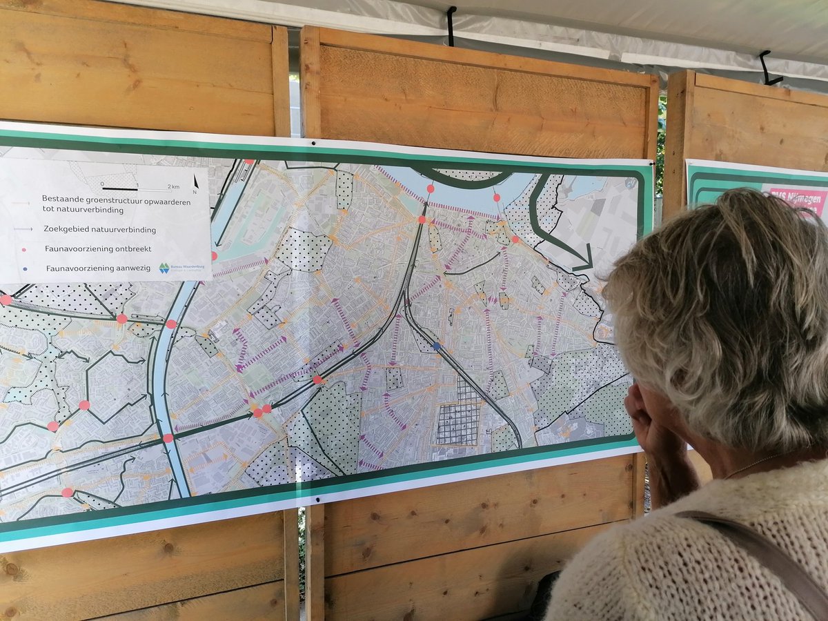 Spoorkuil Willemskwartier,  al die groene stukken langs de spoorlijn #willemskwartier aaneen is een prachtig groen wandelgebied.
nijmegen.nl/stationsgebied…