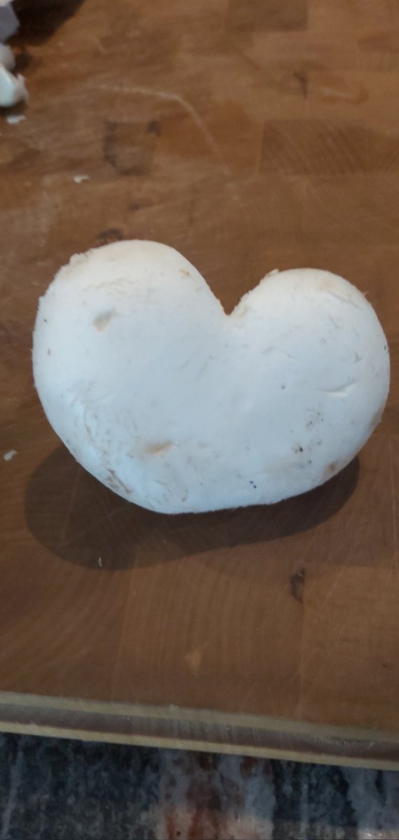 KellyMackay15's tweet photo. Just found a heart mushroom #love  that I'm getting saucy with my bolognese now #cooking #eating #yummy come on my free #onlyfans I can cook you what #youwant https://t.co/M300kKJUd9