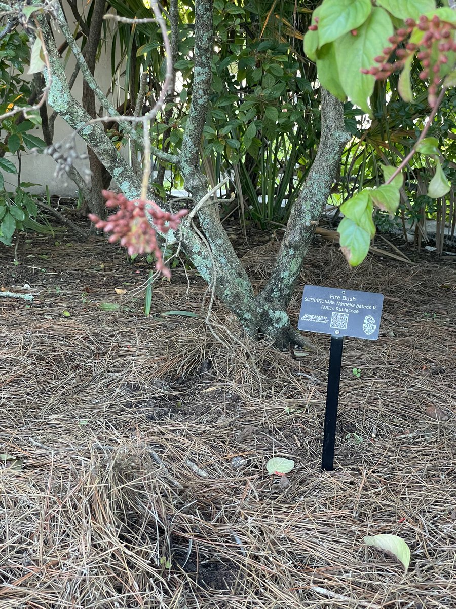 Andrew Kearns tweet media