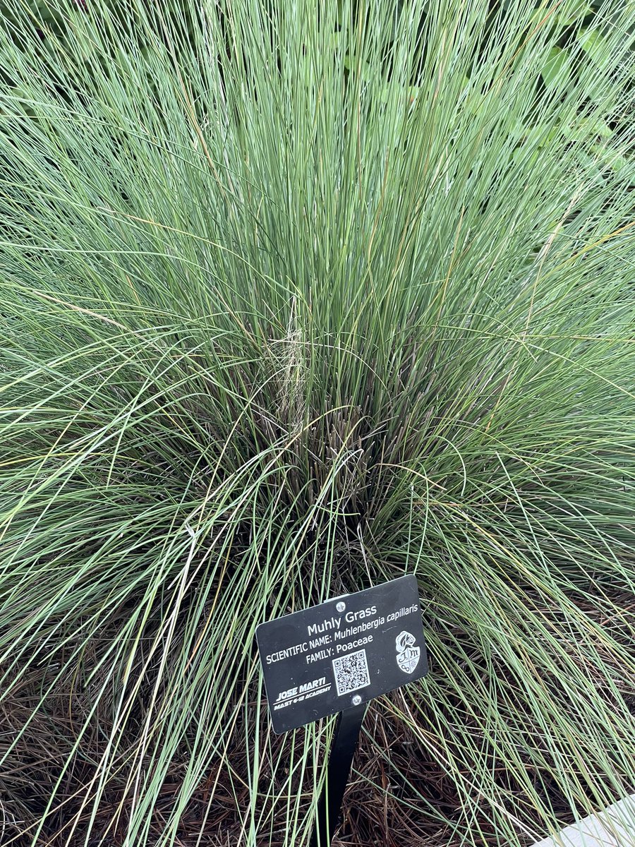 Andrew Kearns tweet media