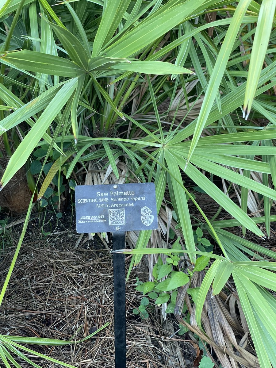 Andrew Kearns tweet media