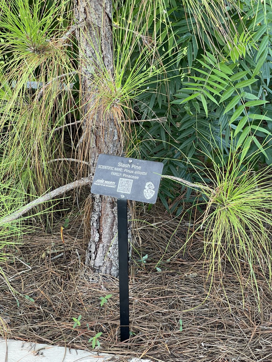 Andrew Kearns tweet media