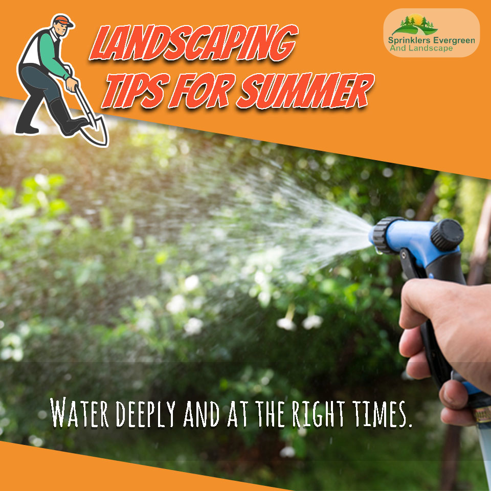 Sprinklers Evergreen And Landscape (sprinkleregreen) / Twitter