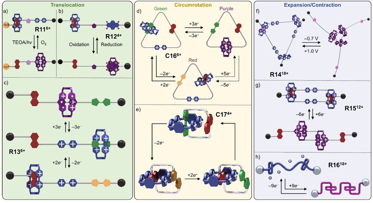 Aspen Chen tweet media