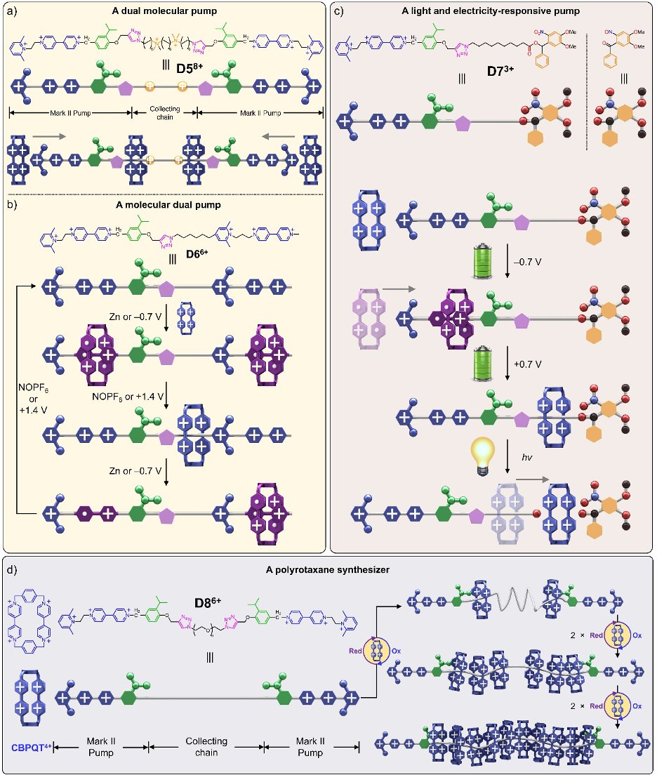 Aspen Chen tweet media