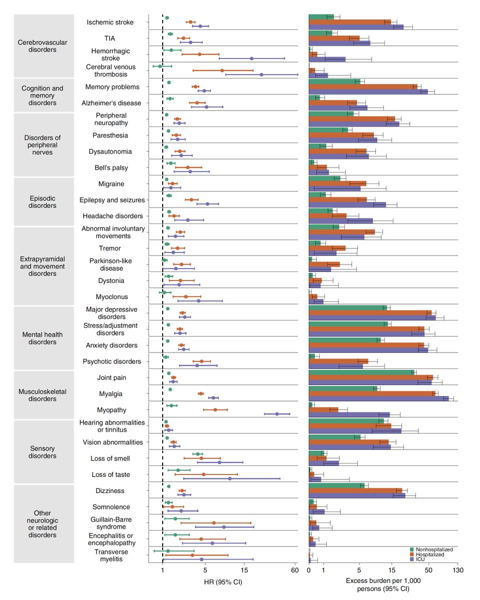 EricTopol's tweet image. 🆕@NatureMedicine 
Comprehensive analysis of #LongCovid neurologic outcomes at 1 year from &amp;gt;150,000 people vs &amp;gt; 11 million controls including risk of stroke, cognitive disorders, peripheral nervous system. Substantial burden even w/mild infections
nature.com/articles/s4159…
@zalaly