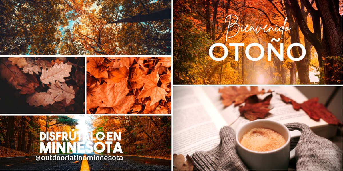 LatinoMinnesota's tweet photo. Bienvenido el otoño!!! los mejores colores 🍂🍂🍁
#otoño #fall2022 #Autumn https://t.co/olSiSqRcfn