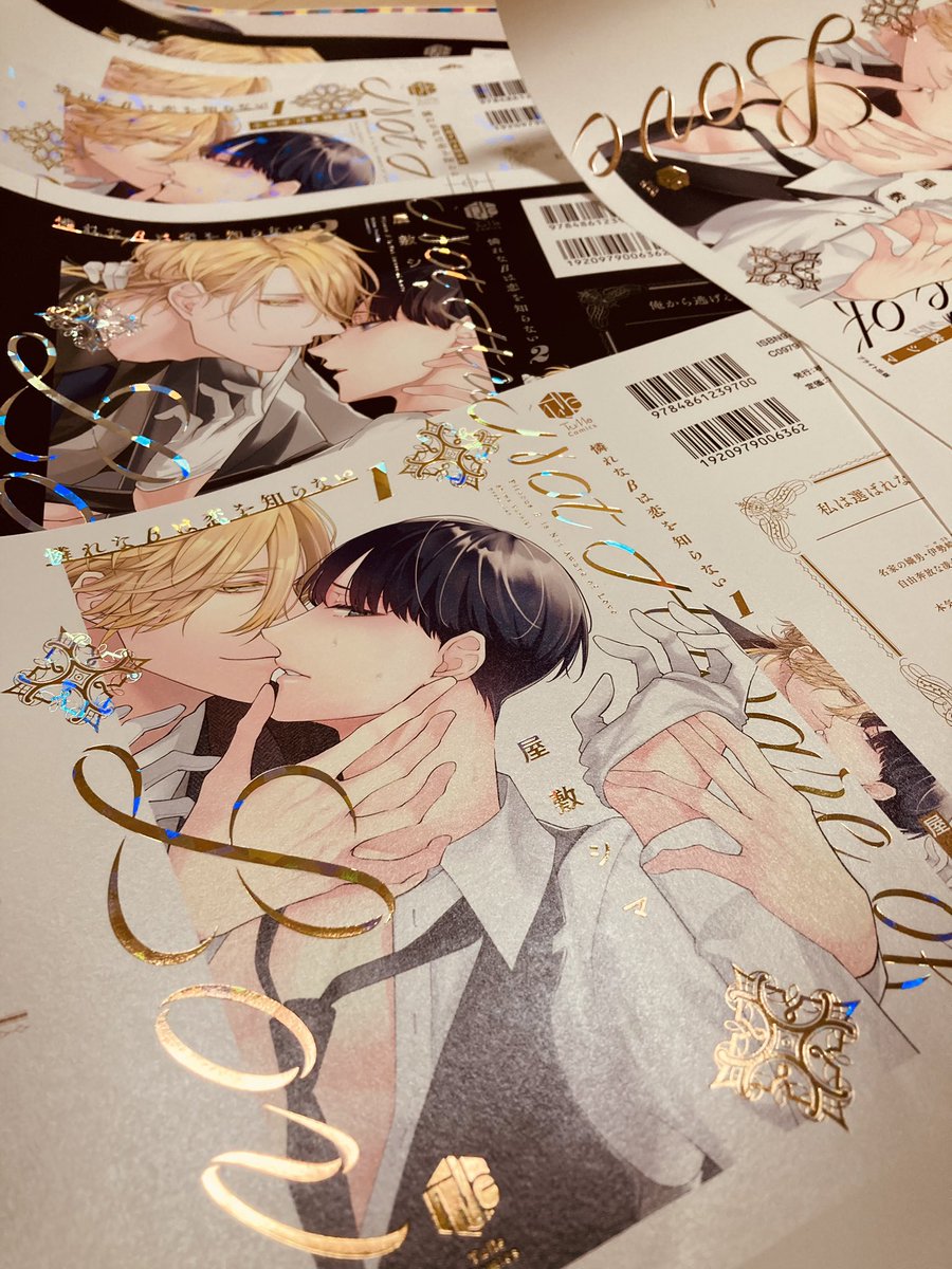 表紙すごいキレイにしてもらった!夢のキラキラ箔押✨✨ 